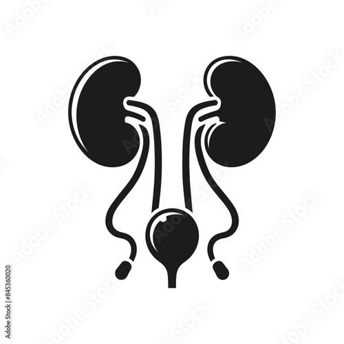 Black and White Human Urinary System Icon - Kidney and Bladder Illustration