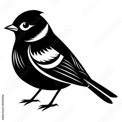 Kinglet bird silhouette black different style vector illustration line art