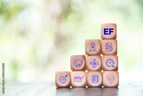 Canvas Print Executive Functions(EF), EF icon at wood box
