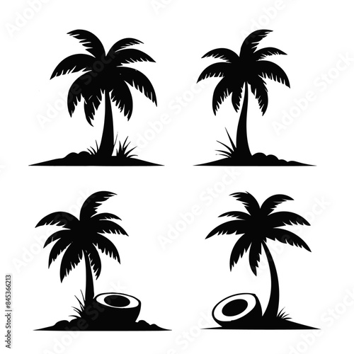 set of tropical palms  set of coconut trees