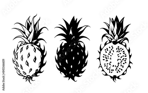 set of dragon fruits
