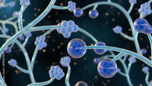Canvas Print 3d rendering of Candida albicans, it is an opportunistic pathogenic yeast that i