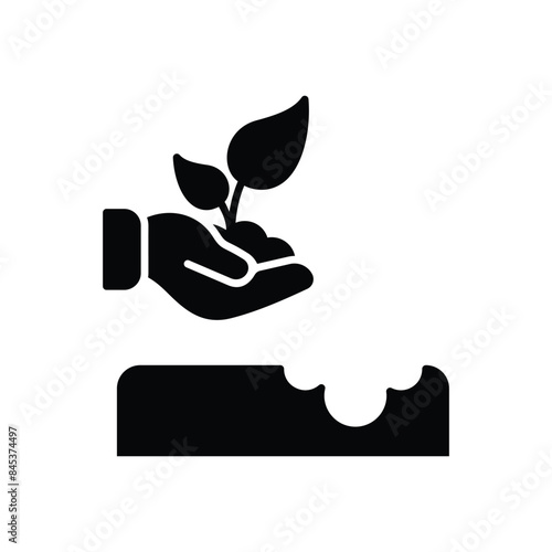 Replant vector icon