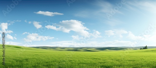 steppe prairie veld veldt Bright sunshine spring in the desert. Creative banner. Copyspace image