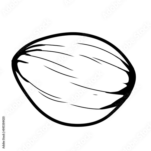 outline sketch of almonds