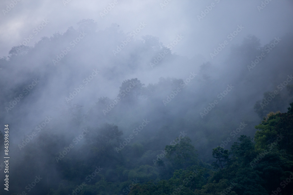 The background texture of mountains in the rainy season and the icy rain fog feels cool and refreshing with the green color of the forest that is cool and pleasing to the eye.