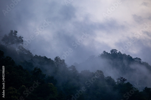 The background texture of mountains in the rainy season and the icy rain fog feels cool and refreshing with the green color of the forest that is cool and pleasing to the eye.