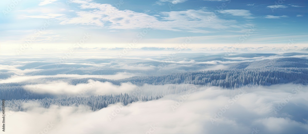 Landscape winter forest cloud sky sunny day From above. Creative banner. Copyspace image Landscape winter forest cloud sky sunny day From above. Creative banner. Copyspace image