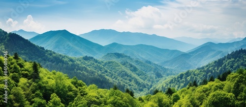 Nice mountain view green forest. Creative banner. Copyspace image