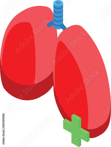 Pair of healthy lungs is shown with a green cross, symbolizing good respiratory health