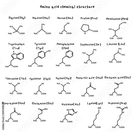 Set of amino acid structure equations such as Histidine, Isoleucine, Leucine, Lysine, Methionine, Phenylalanine, Threonine, Tryptophan, Valine, Alanine, Asparagine, Aspartic Acid, Cysteine, Glutamic