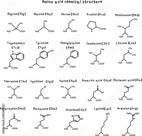 Set of amino acid structure equations such as Histidine, Isoleucine, Leucine, Lysine, Methionine, Phenylalanine, Threonine, Tryptophan, Valine, Alanine, Asparagine, Aspartic Acid, Cysteine, Glutamic