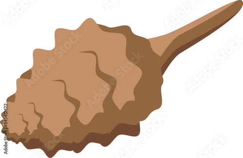 Illustration of a brown mollusc shell with wavy relief pattern, isolated on white background