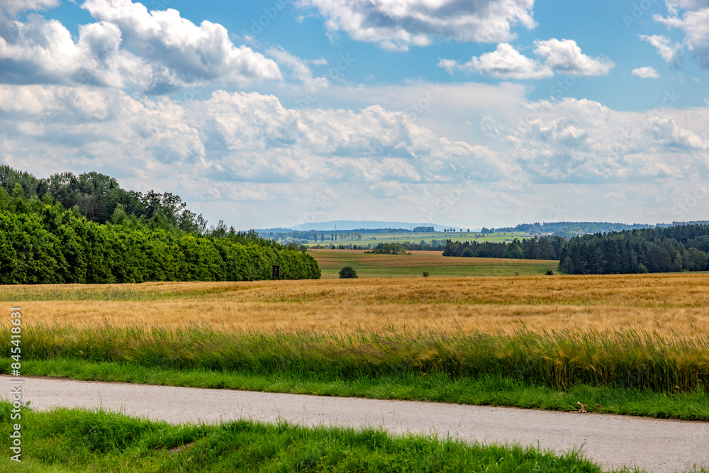 Obraz premium Agricultural fields on a summer day.