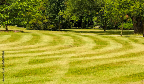 Świeżo skoszony trawnik w parku miejskim wiosną. Regularne wzory tworzone przez koszenie rozległego trawnika w parku w maju. photo