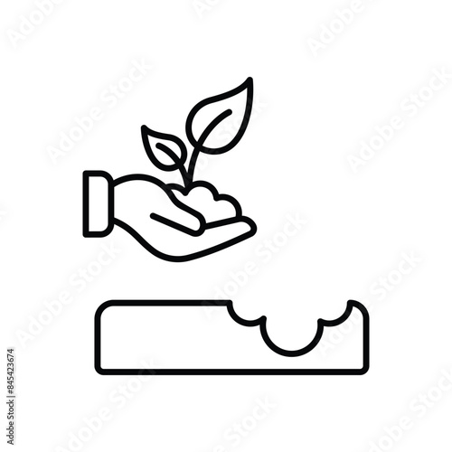Replant vector icon