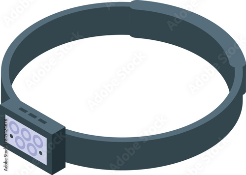Electronic dog training collar with remote control for obedience training isometric view