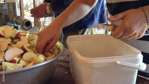 A person is cutting apples and putting them in a container