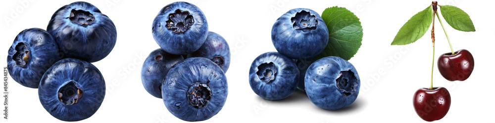 Obraz premium Set of blueberry illustrations with no background. Collage of png berry illustration with transparency.