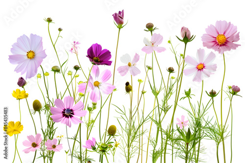 Wallpaper Mural spring flowers background Torontodigital.ca