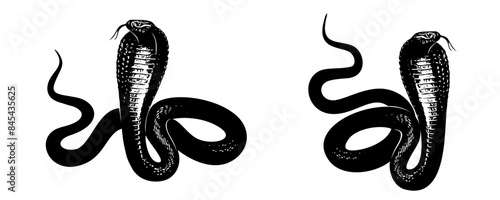 snake silhouette vector