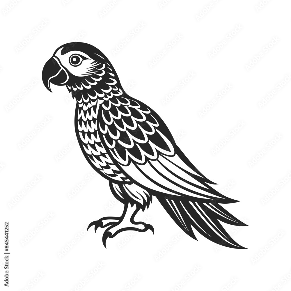Fototapeta premium Tropical parrot bird. Black silhouette on a white background. Engraving, tattoo. Illustration