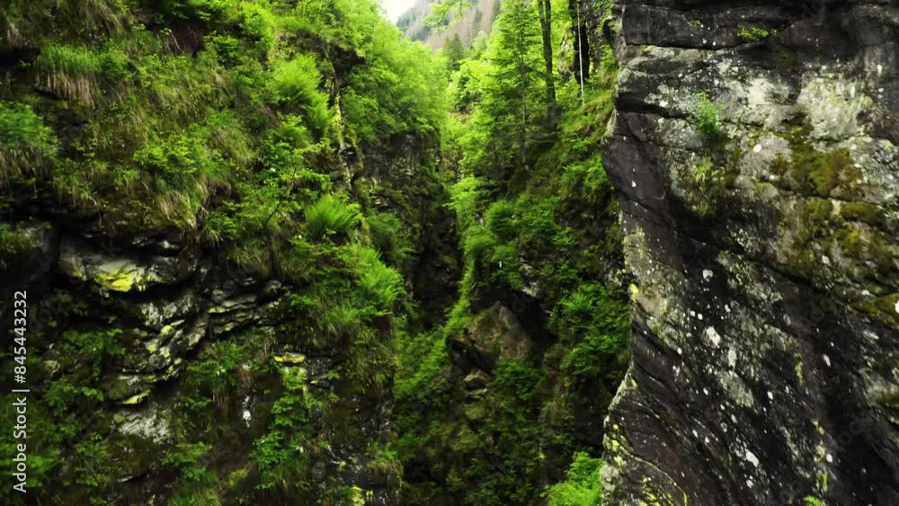 Beautiful canyon with cascading waterfalls and rich green vegetation, offering a perfect backdrop for adventure, nature, travel, hiking, and holiday-themed projects Beautiful canyon with cascading waterfalls and rich green vegetation, offering a perfect backdrop for adventure, nature, travel, hiking, and holiday-themed projects