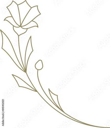 Gentle natural flower curved botanical blooming line art decor element for logo design vector