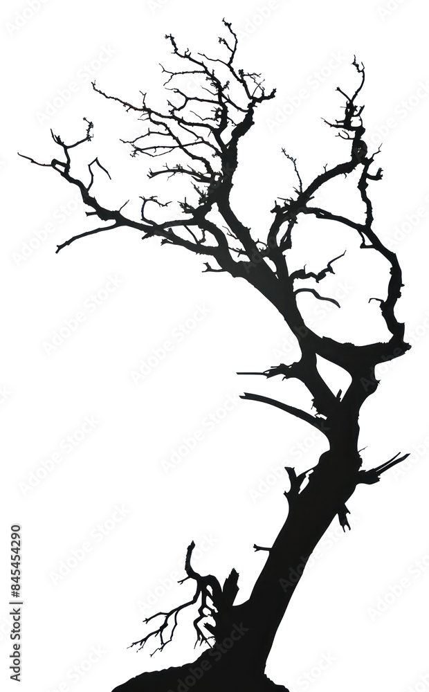 Obraz premium PNG Dead tree silhouette clip art drawing sketch white background.