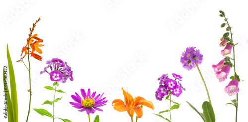 Ansicht bunter Blumen in lila und orange