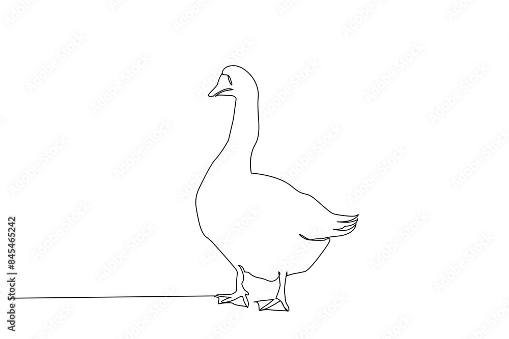 goose duck animal one line art design vector goose duck animal one line art design vector