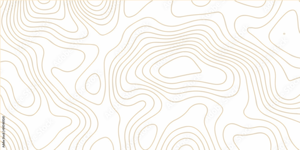 Topography and geography map grid abstract backdrop. Black and white map pattern with abstract topographical contour line. Topographic Map Seamless Pattern. Vector Background. Topography and geography map grid abstract backdrop. Black and white map pattern with abstract topographical contour line. Topographic Map Seamless Pattern. Vector Background.