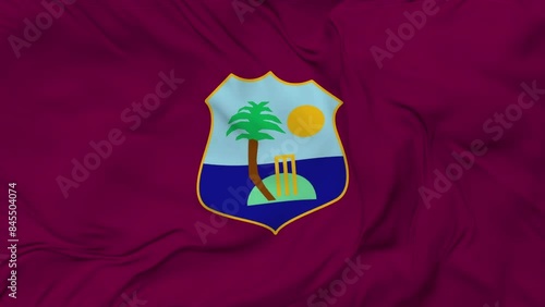 A beautiful view of the West Indies flag video. 3d flag-waving video. West Indies flag 4K resolution.