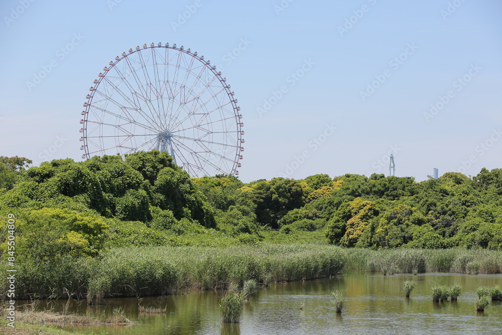 自然と観覧車 自然と観覧車