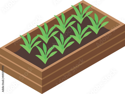 Home gardening growing plants in raised bed isometric view