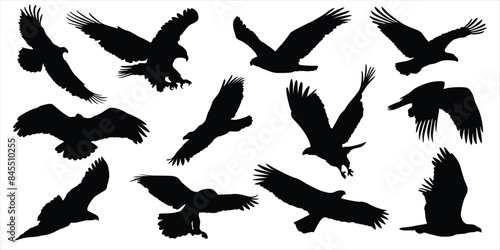 Eagle Vector Illustration Set, Black and White Silhouettes. Collection of Different Eagle Poses, Perfect for Logos, Designs, and More.