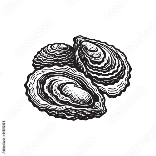 Oysters. vintage black engraving illustration. isolated object. Icon, logo, emblem.