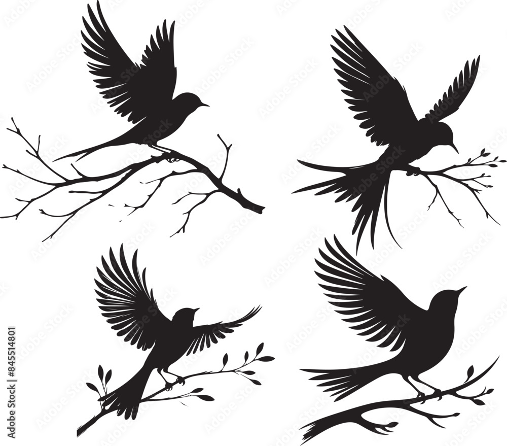 set of silhouettes of birds set of silhouettes of birds