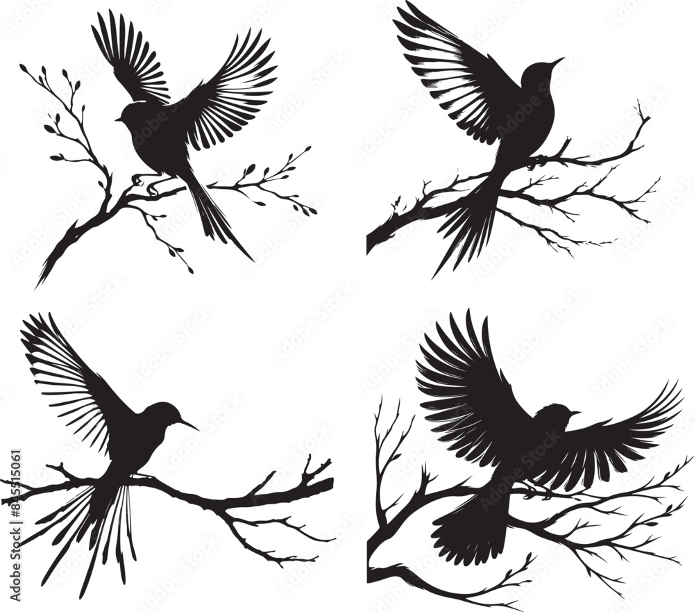 Obraz premium set of silhouettes of birds 