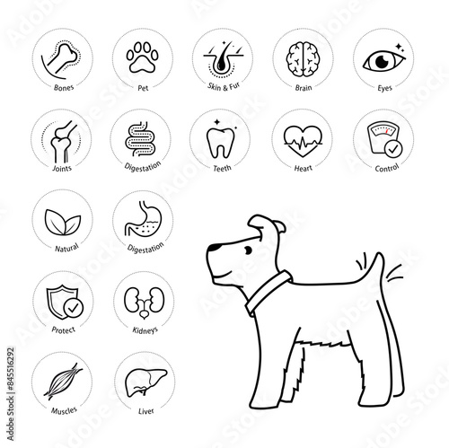 A set of icons for dog. The outline icons are well scalable and editable. Contrasting elements are good for different backgrounds. EPS10.	