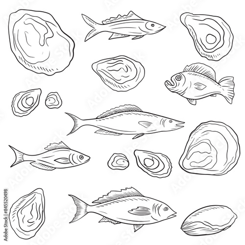 Set of different kinds of seafood: fish, salmon, carp, dorado, drum, oyster in balck isolated on white background. Hand drawn vector sketch illustration in doodle vintage engraved style.