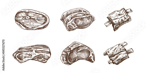 Hand-drawn sketches of pieces of meat, pork or beef steak, ribs, chop meat, bacon, piece of meat cuts, vector illustration. Raw meat. Vintage illustration. 