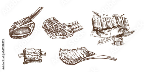 Organic food. Hand-drawn vector sketches of pork, ribs, beaf, lamb ribs, piece of meat, set. Doodle vintage illustration. Decorations for the menu of cafes and labels. Engraved image.