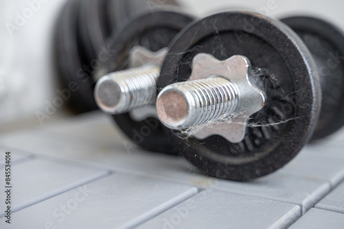 Принти на полотні Pair of dumbbells covered in dust and cobwebs