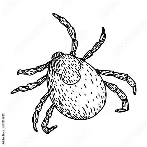 Slika na platnu insect tick hand drawn