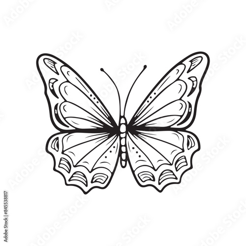 Beautiful realistic butterfly with dots in black isolated on white background. Hand drawn vector sketch illustration in doodle engraved line art vintage style. Tattoo design, lightness, flying insect.