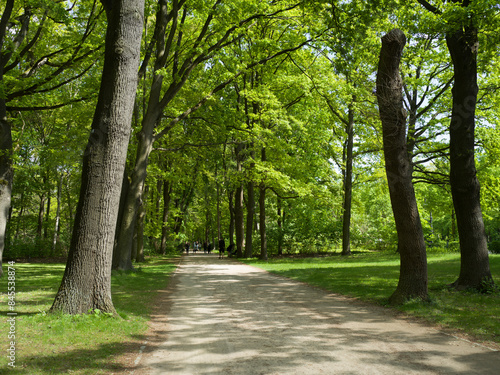 Fototapeta Naklejka Na Ścianę i Meble -  Berlin, Germany, April 27th 2024, Tiergarten park pathway in central Berlin