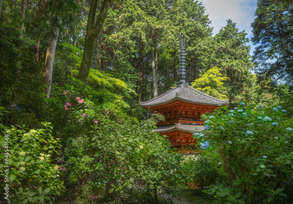 Three-storied pagoda at Gansenji temple with hydrangea blossoms in Kyoto, Japan Three-storied pagoda at Gansenji temple with hydrangea blossoms in Kyoto, Japan