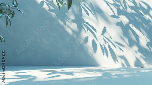 Minimalistic Light Background with Blurred Foliage Shadows