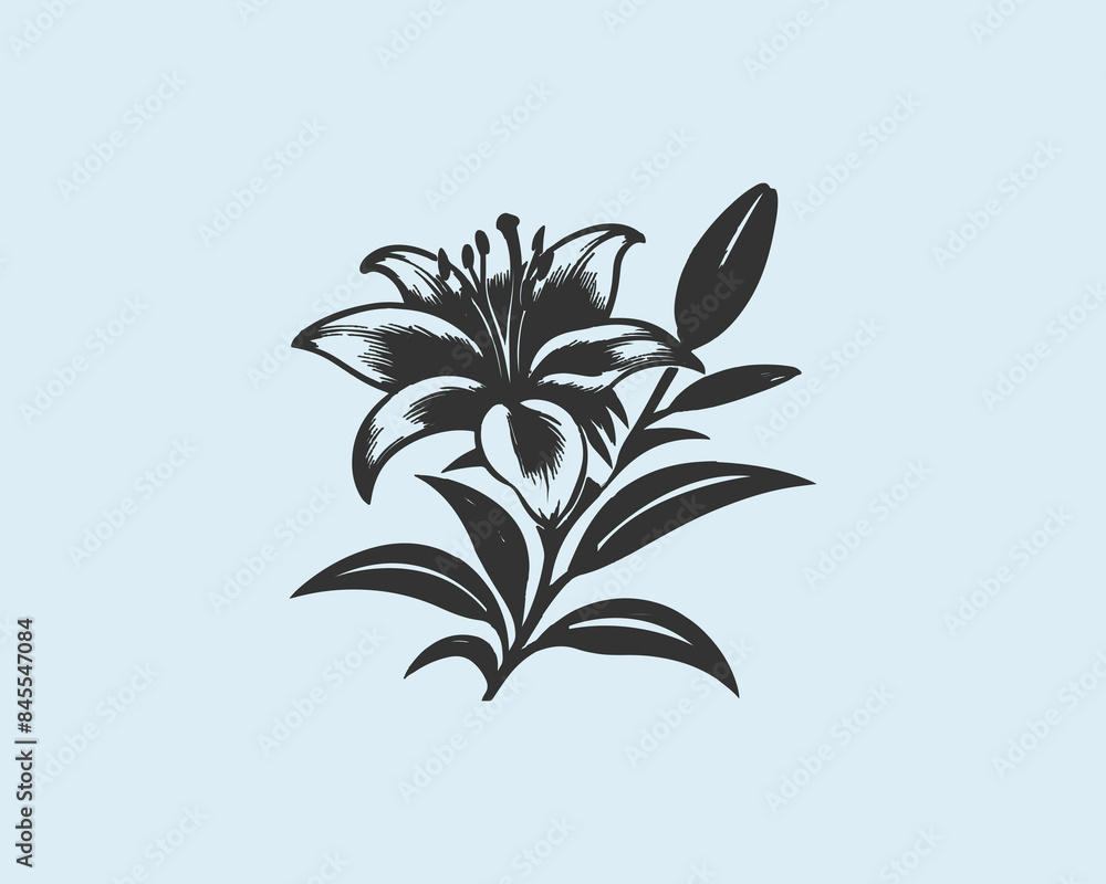 lily flower silhouette in vector Simple illustration lily flower silhouette in vector Simple illustration